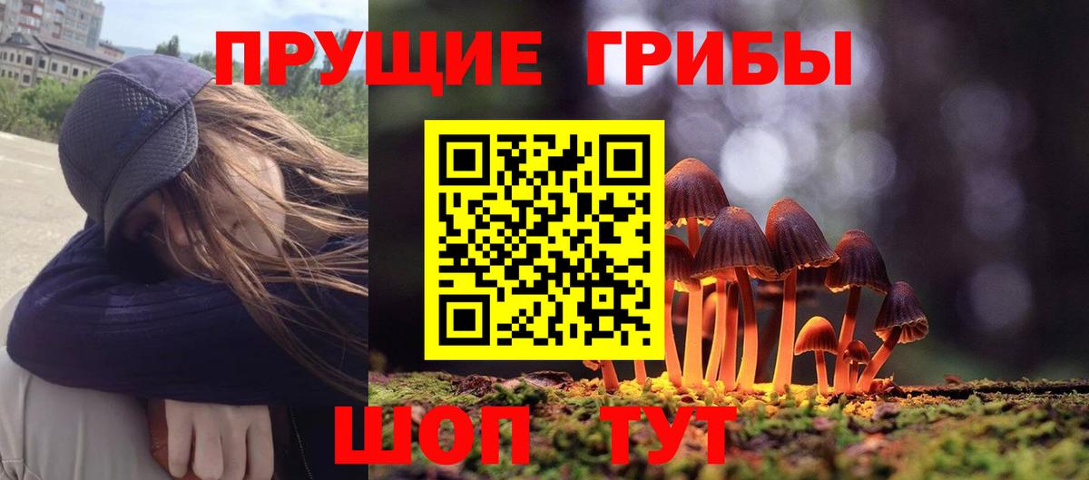 Галлюциногенные грибы Magic Shrooms  Вход с VPN  Великий Новгород  Псилоцибиновые грибы Psilocybine cubensis 