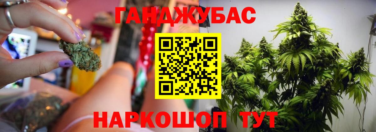 Каннабис планчик Великий Новгород